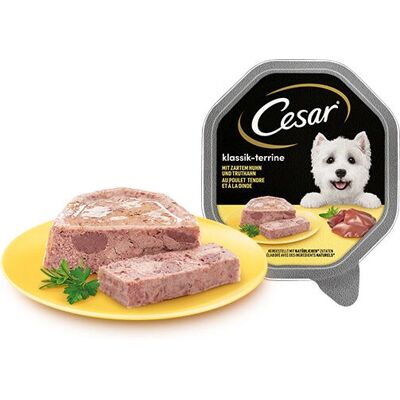 Comida húmeda para perros Cesar Pollo - Tipo de Producto Comida húmeda para perros Cesar Pollo - Tipo de Producto