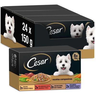 Cesar Hondenvoeding - Boerderijkip in Gelei - 8X150G Cesar Hondenvoeding - Boerderijkip in Gelei - 8X150G