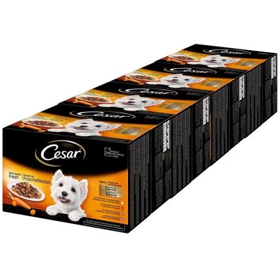 Cesar Deliciously Fresh Dog Pouches Favourites in Sauce - Dog Food Cesar Deliciously Fresh Dog Pouches Favourites in Sauce - Dog Food