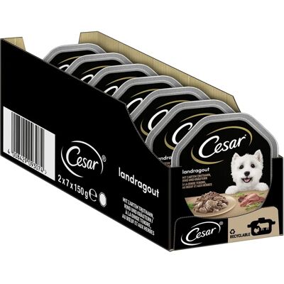 Cesar kalkon- och nötkött hundmat - Komplett och smakrik Cesar kalkon- och nötkött hundmat - Komplett och smakrik