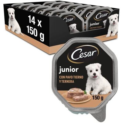 Cesar Voer voor Puppies Kalkoen Rund 14 x 150g Cesar Voer voor Puppies Kalkoen Rund 14 x 150g