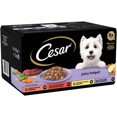 Cesar Brand Model - Mixed Selection Wet Dog Food Cesar Brand Model - Mixed Selection Wet Dog Food
