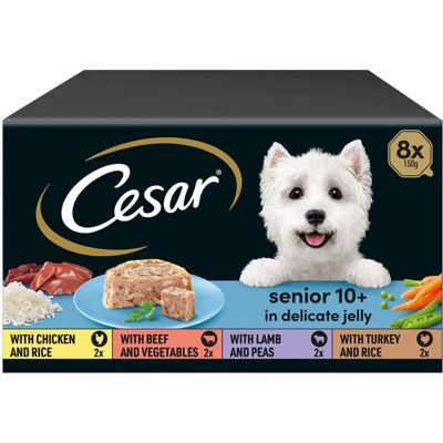 Cesar - 10+ - Delicate Jelly - Chicken - Dog food Cesar - 10+ - Delicate Jelly - Chicken - Dog food