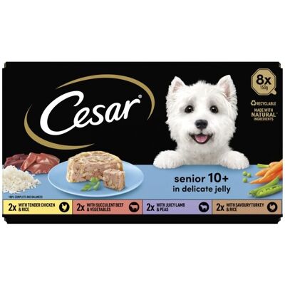 Cesar Senior Dog Food Trays - 10+ Variety in Jelly Cesar Senior Dog Food Trays - 10+ Variety in Jelly