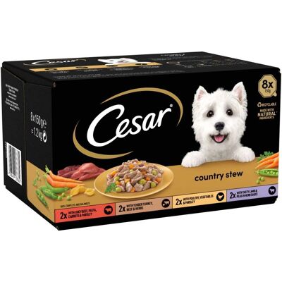 Cesar Brand Model - Variety Pack Dog Food in Gravy Cesar Brand Model - Variety Pack Dog Food in Gravy