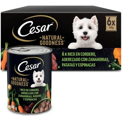 Nourriture Humide César Natural Goodness au Agneau - Pack 10 Boîtes 400g - Publicité Nourriture Humide César Natural Goodness au Agneau - Pack 10 Boîtes 400g - Publicité