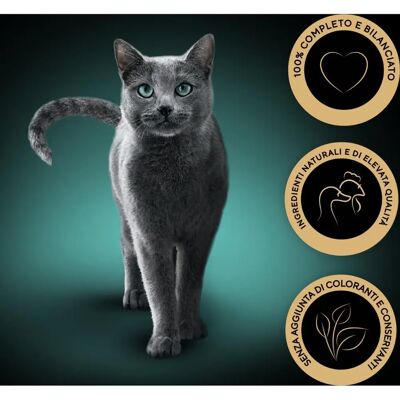 Sheba - Sauce Collection Cat - 22x85G - Cibo umido per gatti Sheba - Sauce Collection Cat - 22x85G - Cibo umido per gatti