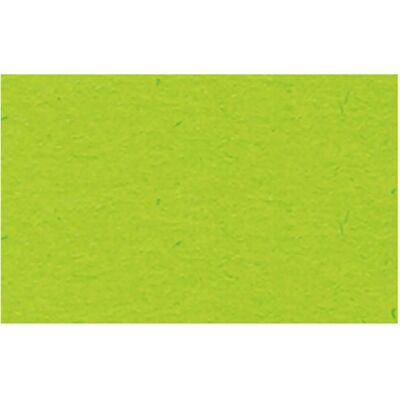 Ursus Papel de Fotocopia Verde Claro A4 - Papel de Fotocopia Ursus Papel de Fotocopia Verde Claro A4 - Papel de Fotocopia