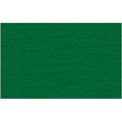 Ursus Papel Fotocopia Verde Oscuro - A4 300g/m², 50 Hojas Ursus Papel Fotocopia Verde Oscuro - A4 300g/m², 50 Hojas