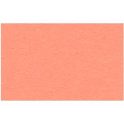 Ursus Carta da Disegno Cartoncino Fotografico - Alta Brillantezza - 300g/m² - Corallo Ursus Carta da Disegno Cartoncino Fotografico - Alta Brillantezza - 300g/m² - Corallo