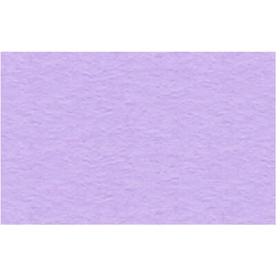 Ursus Papel Lila - A4 300g/m² - 50 Hojas Ursus Papel Lila - A4 300g/m² - 50 Hojas