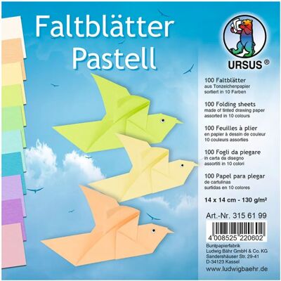 Ludwig Bähr Ursus Papier à Dessin Pastel Pliant - Papier à Dessin - Publicité Ludwig Bähr Ursus Papier à Dessin Pastel Pliant - Papier à Dessin - Publicité