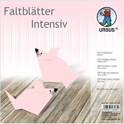 Ludwig Bähr Ursus Falten Altrosa - Plakatkarton Ludwig Bähr Ursus Falten Altrosa - Plakatkarton