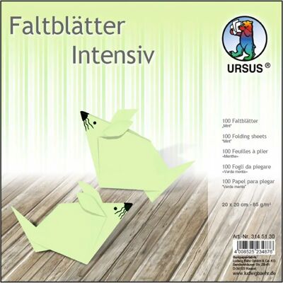 Ludwig Bähr - Ursus Falten - 65 g/m² - Posterboard Ludwig Bähr - Ursus Falten - 65 g/m² - Posterboard