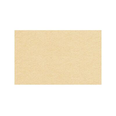Ursus 2174616 Papel de arte - 130 g/m², 100 hojas, Albaricoque - Papel de arte Ursus 2174616 Papel de arte - 130 g/m², 100 hojas, Albaricoque - Papel de arte