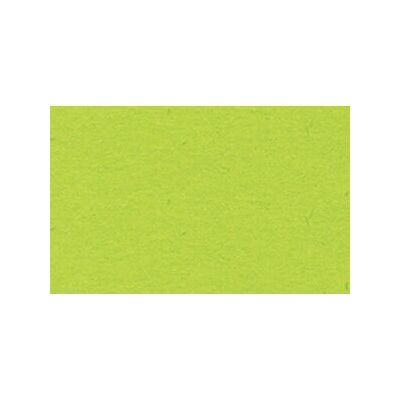 Ursus Papel de Arte - 130g/m², 100 Hojas, Verde Claro - Papel de Arte Ursus Papel de Arte - 130g/m², 100 Hojas, Verde Claro - Papel de Arte