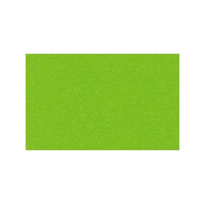 Ursus 2174650 Papel de Arte - A4, 130 g/m², 100 Hojas, Verde Manzana Ursus 2174650 Papel de Arte - A4, 130 g/m², 100 Hojas, Verde Manzana