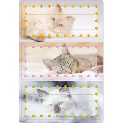 HERMA - 5569 - Multicolore - Rettangolo - label HERMA - 5569 - Multicolore - Rettangolo - label