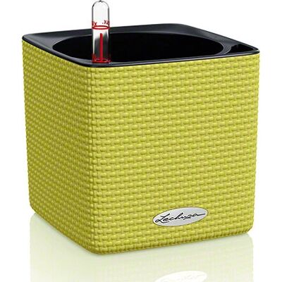 LECHUZA - CUBE Color 14 - Pistachio - Planter LECHUZA - CUBE Color 14 - Pistachio - Planter