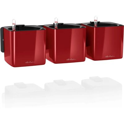 Lechuza Vaso da Parete Rosso - Fioriera autoirrigante da interno Lechuza Vaso da Parete Rosso - Fioriera autoirrigante da interno