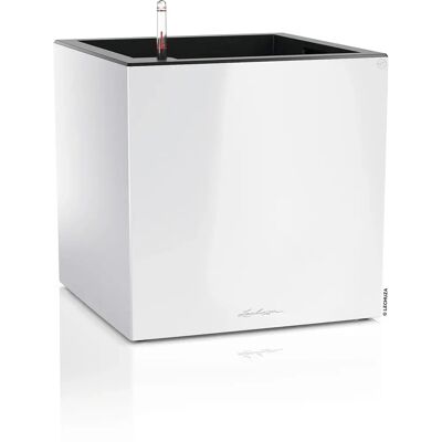 Lechuza Canto Premium 40 Weiß Hochglanz - Selbstbewässernd, UV-beständig, Recycelbar Lechuza Canto Premium 40 Weiß Hochglanz - Selbstbewässernd, UV-beständig, Recycelbar