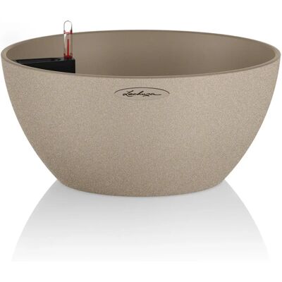 Lechuza Beige Selbstbewässernde Pflanzgefäß mit Naturstein-Optik - Pflanze Lechuza Beige Selbstbewässernde Pflanzgefäß mit Naturstein-Optik - Pflanze