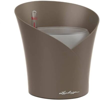 Vaso LECHUZA ORCHIDEA - 18cm Taupe Autoirrigazione Vaso LECHUZA ORCHIDEA - 18cm Taupe Autoirrigazione