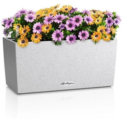 Lechuza Balconera 40 All-in-one - Blumenkasten Lechuza Balconera 40 All-in-one - Blumenkasten