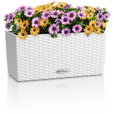 Lechuza Balconera Cottage 40, blanc, auto-irrigation, jardinière - Publicité Lechuza Balconera Cottage 40, blanc, auto-irrigation, jardinière - Publicité
