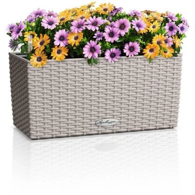 Lechuza Balconera Cottage 40 - Indoor/outdoor Box planter Lechuza Balconera Cottage 40 - Indoor/outdoor Box planter