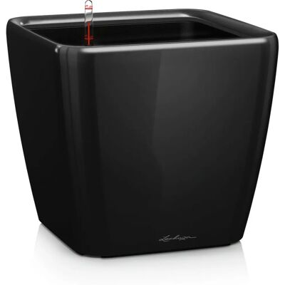 LECHUZA Quadro LS 21 Beltéri Edény - Öntözőrendszer, Fekete LECHUZA Quadro LS 21 Beltéri Edény - Öntözőrendszer, Fekete