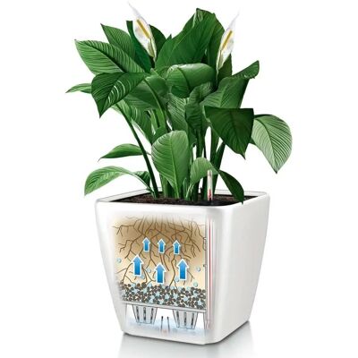 Vaso autoirrigante LECHUZA Quadro LS 43 - Bianco Vaso autoirrigante LECHUZA Quadro LS 43 - Bianco