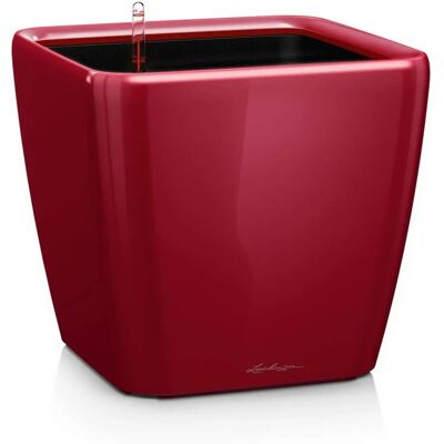 Lechuza Rote 50x50x46.5cm Selbstbewässernder Blumentopf - Innen/Außen Lechuza Rote 50x50x46.5cm Selbstbewässernder Blumentopf - Innen/Außen