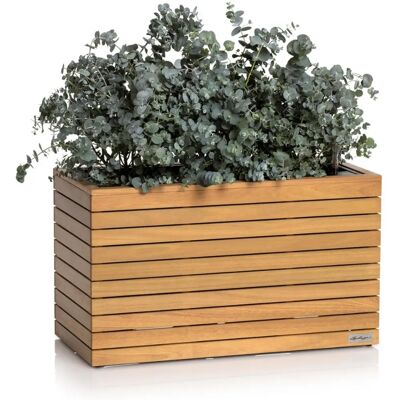 Lechuza Palo Natural Wood 80 - Vaso con Sistema di Irrigazione Lechuza Palo Natural Wood 80 - Vaso con Sistema di Irrigazione