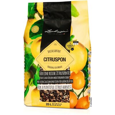 Lechuza Citruspon 25L - Blumentopf Lechuza Citruspon 25L - Blumentopf