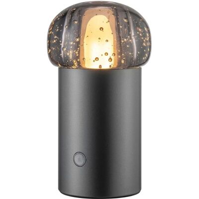 Blomus Portable IRIS LED Lamp - Designer Sebastian Herkner - Indoor/Outdoor Blomus Portable IRIS LED Lamp - Designer Sebastian Herkner - Indoor/Outdoor