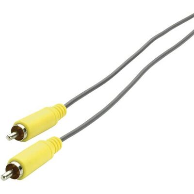 Câble audio numérique RCA SpeaKa Professional Modèle SP-1300788 3m - Publicité Câble audio numérique RCA SpeaKa Professional Modèle SP-1300788 3m - Publicité