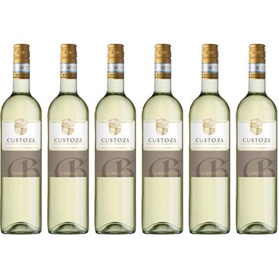 Bertoldi - Bianco di Custoza - DOC - Wein Bertoldi - Bianco di Custoza - DOC - Wein