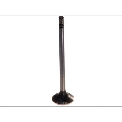 MAHLE 227 VA 30955 000 Auslassventil - Auslassseite MAHLE 227 VA 30955 000 Auslassventil - Auslassseite