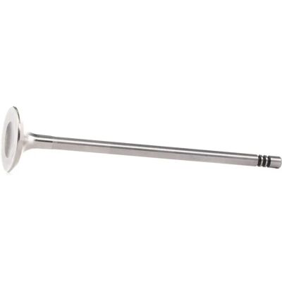 Βαλβίδα εξαγωγής MAHLE 039 VA 31927 000 - Βαλβίδα εξαγωγής Βαλβίδα εξαγωγής MAHLE 039 VA 31927 000 - Βαλβίδα εξαγωγής