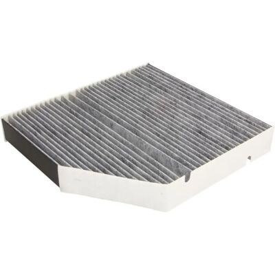Filtro a carbone attivo Knecht Mahle - Filtro aria Filtro a carbone attivo Knecht Mahle - Filtro aria