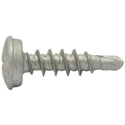 SWG 211651625 Gepoedercoat stalen nummerplaat schroeven - 100 stuks SWG 211651625 Gepoedercoat stalen nummerplaat schroeven - 100 stuks
