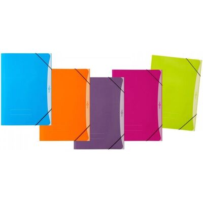Pagna 21641-00 Ordner - Elastisch, Mehrfarbig, A3 Pagna 21641-00 Ordner - Elastisch, Mehrfarbig, A3