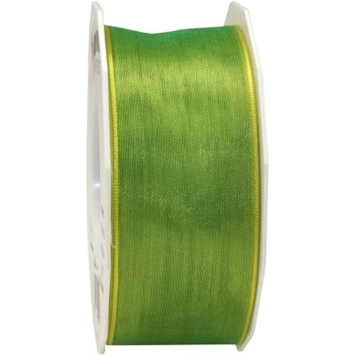 PRÄSENT Nastro regalo Four Seasons lime 40mm x 25m PRÄSENT Nastro regalo Four Seasons lime 40mm x 25m