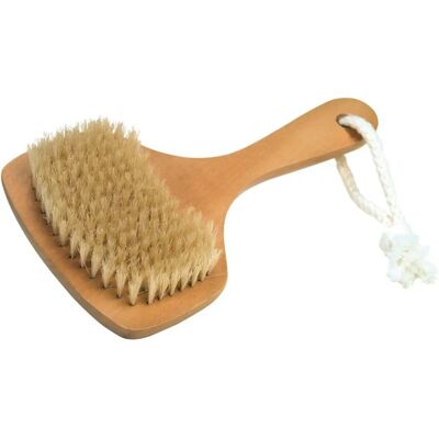 Croll & Denecke 60074 Brosse de bain - Poils naturels, Poignée courte - Brosse de bain Croll & Denecke 60074 Brosse de bain - Poils naturels, Poignée courte - Brosse de bain