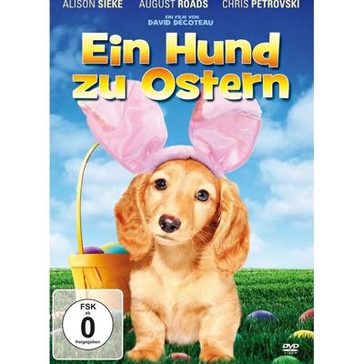 EuroVideo Medien GmbH - GEBRAUCHT Ein Hund zu Ostern - DVD - Publicité EuroVideo Medien GmbH - GEBRAUCHT Ein Hund zu Ostern - DVD - Publicité