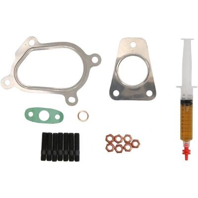 EVORON EVMK0086 Montagekit met pakkingen - Turbo Kit EVORON EVMK0086 Montagekit met pakkingen - Turbo Kit