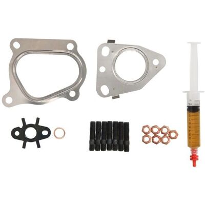 EVORON EVMK0089 Turbocharger Kit - met montage-instructies, afdichtingen, bouten, olie-syringe, zelfzekeringmoeren EVORON EVMK0089 Turbocharger Kit - met montage-instructies, afdichtingen, bouten, olie-syringe, zelfzekeringmoeren