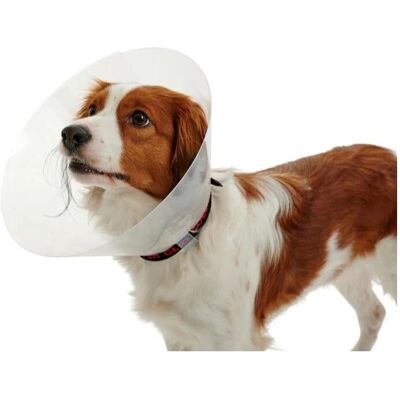 Collare Elisabettiano Classico Opaco Leopet 15cm - Protezione Post-Operatoria per Cani e Gatti Collare Elisabettiano Classico Opaco Leopet 15cm - Protezione Post-Operatoria per Cani e Gatti