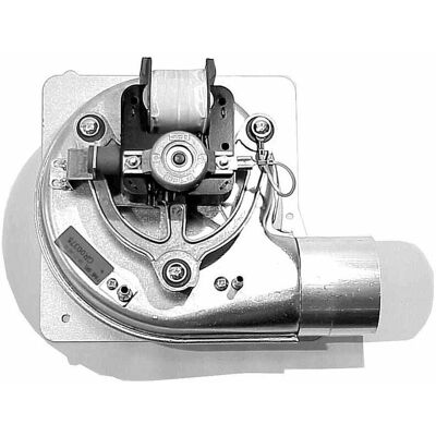 Elm Leblanc - EGVM23 - EGVM23 - Completo - Extractor Elm Leblanc - EGVM23 - EGVM23 - Completo - Extractor